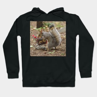 squirrel with shopping cart 6 Hoodie